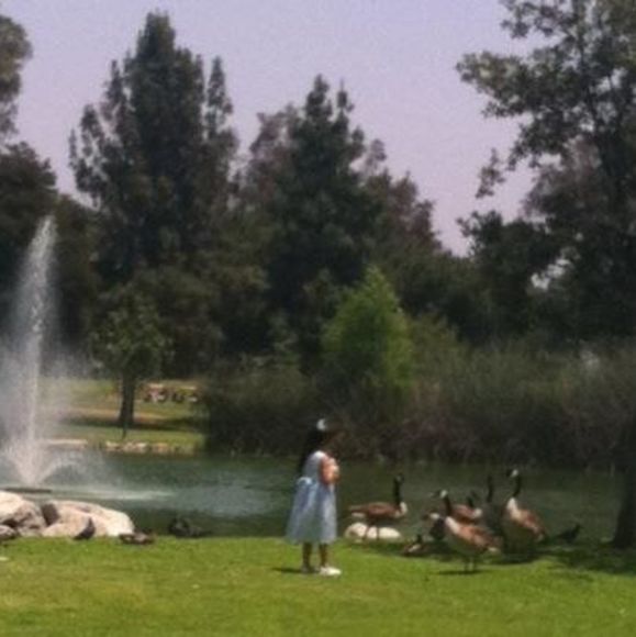 Meet your Posher, Mgo - Picture 1 of 1